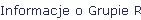 Informacje o Grupie Robots