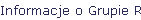 Informacje o Grupie Robots